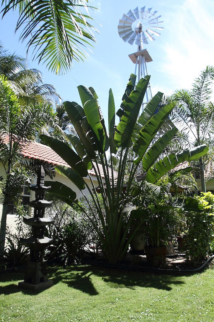 Villa in Damacor