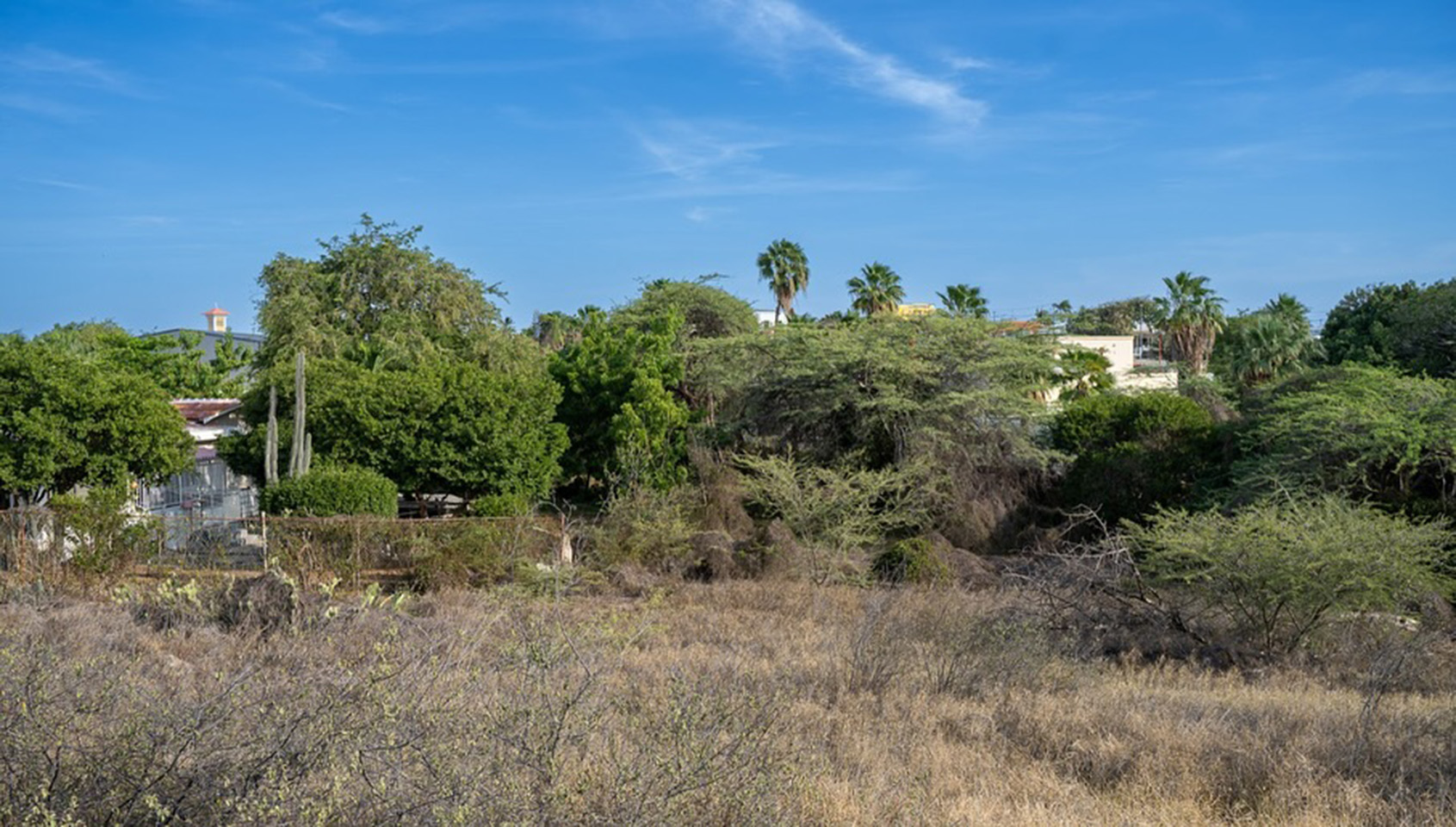 Property in Salina