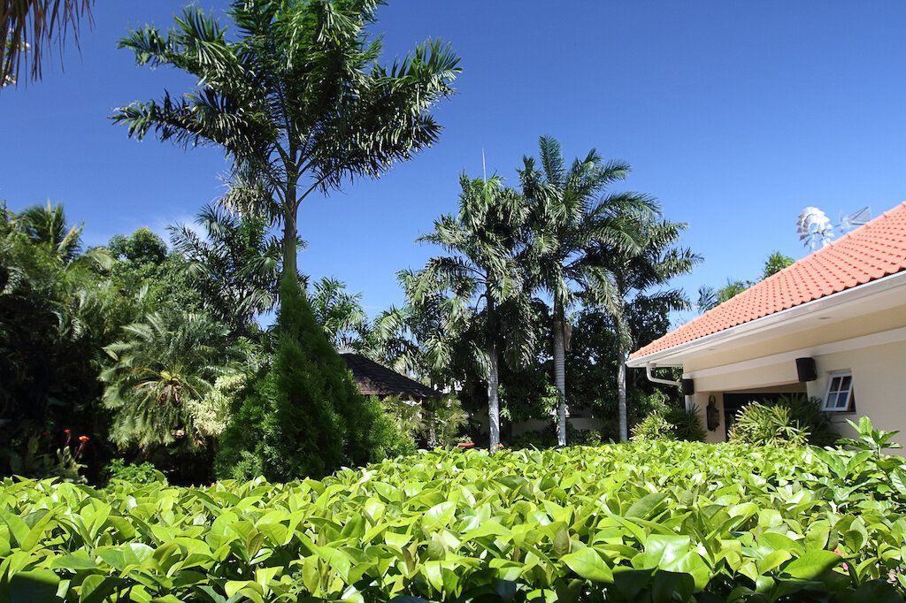 Villa in Damacor