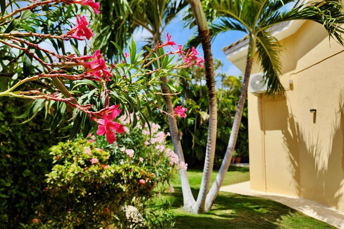 House in Matancia