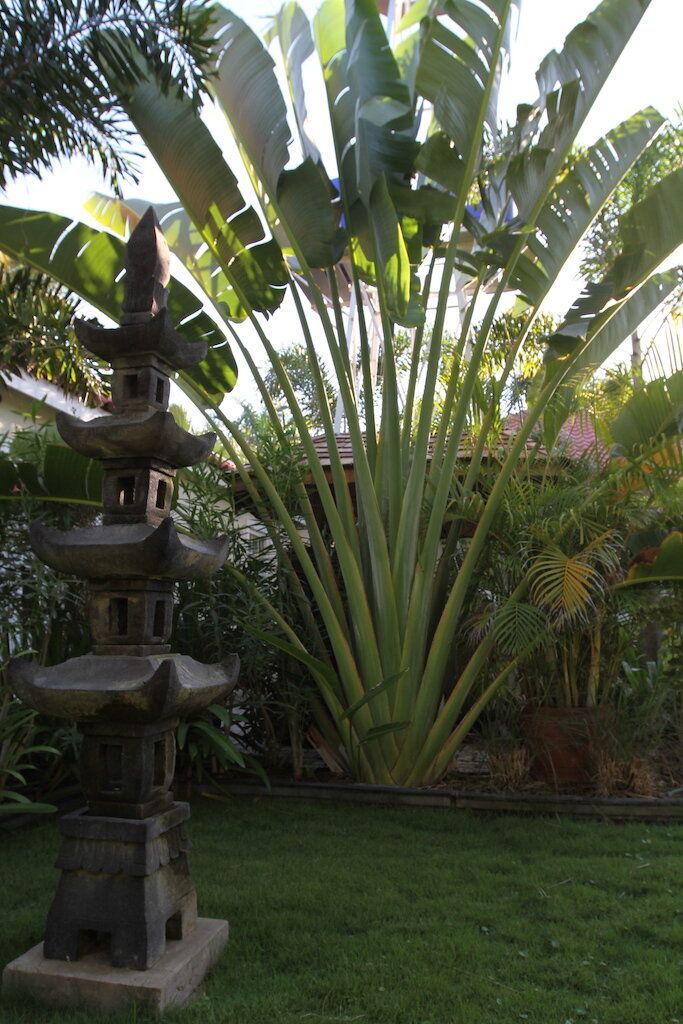 Villa in Damacor