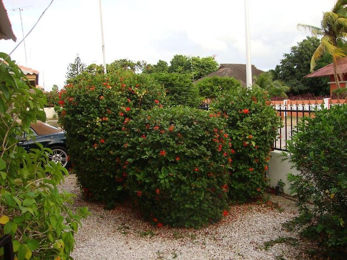 Property in Emmastad