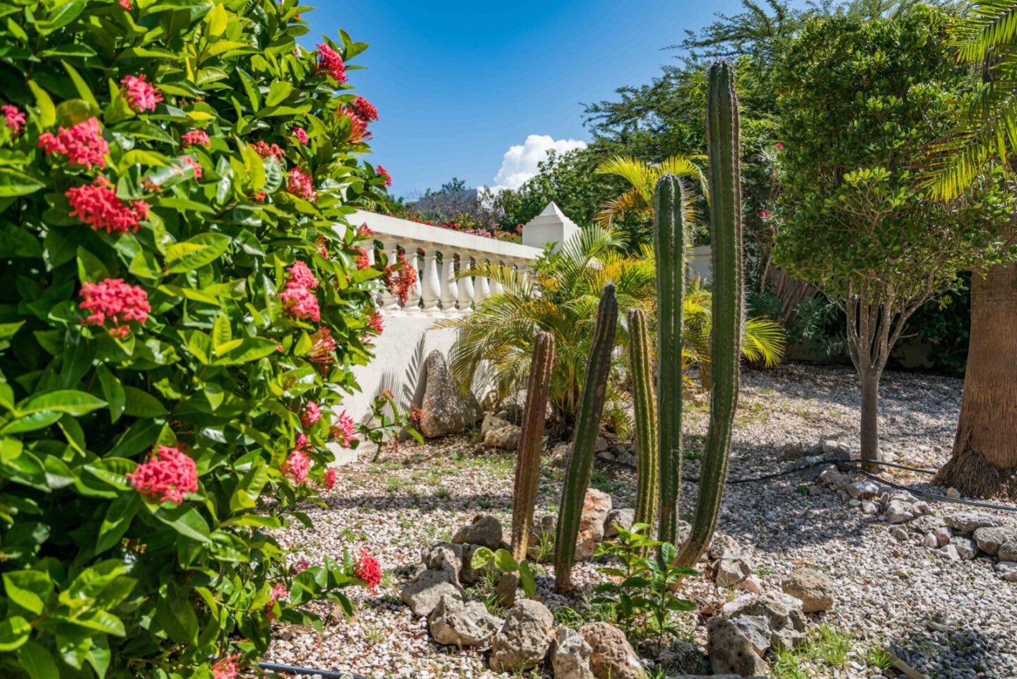 Villa in Cas Abou