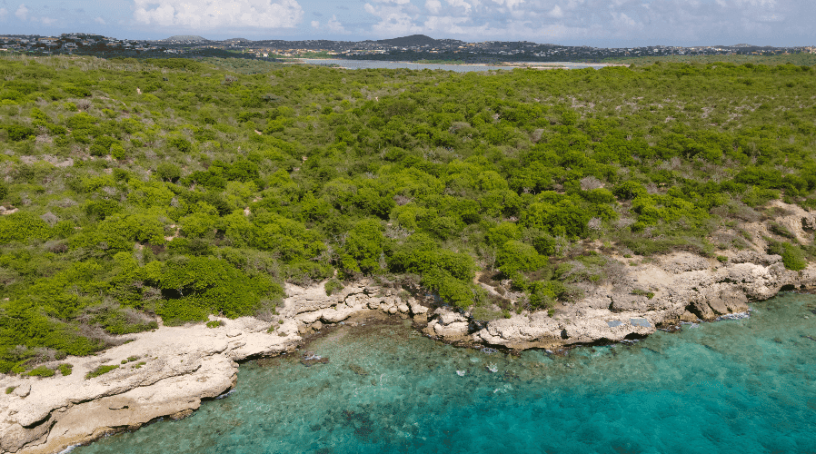 Kavel / grond in Mambo Beach