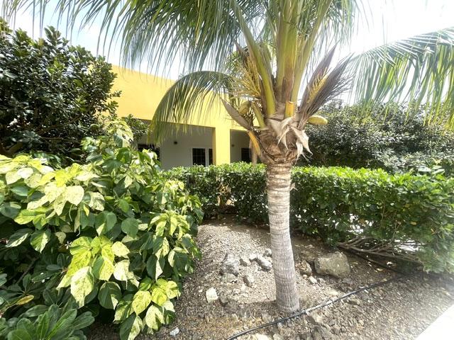 House in Santa Catharina