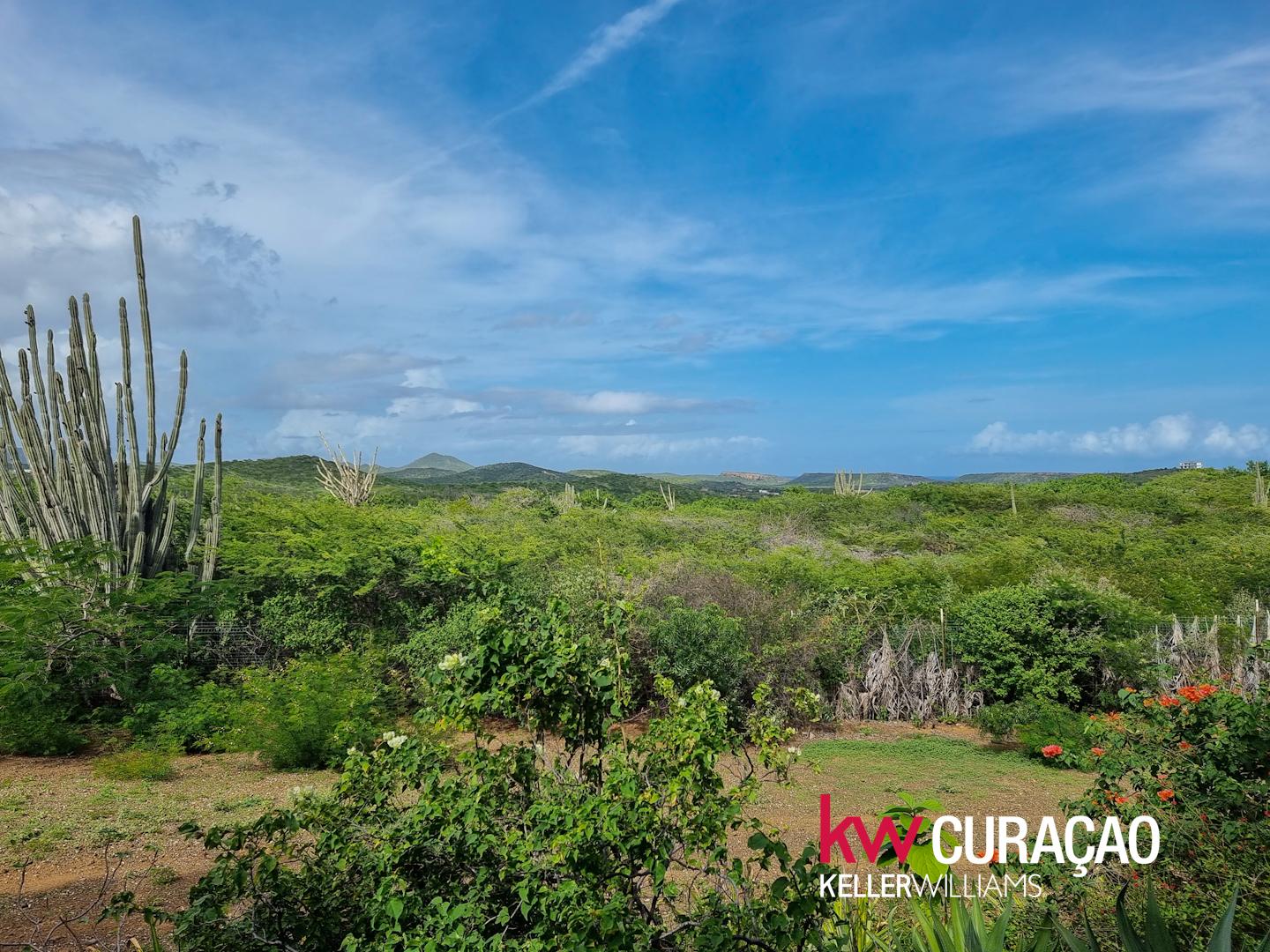 Property in Banda Abou Region